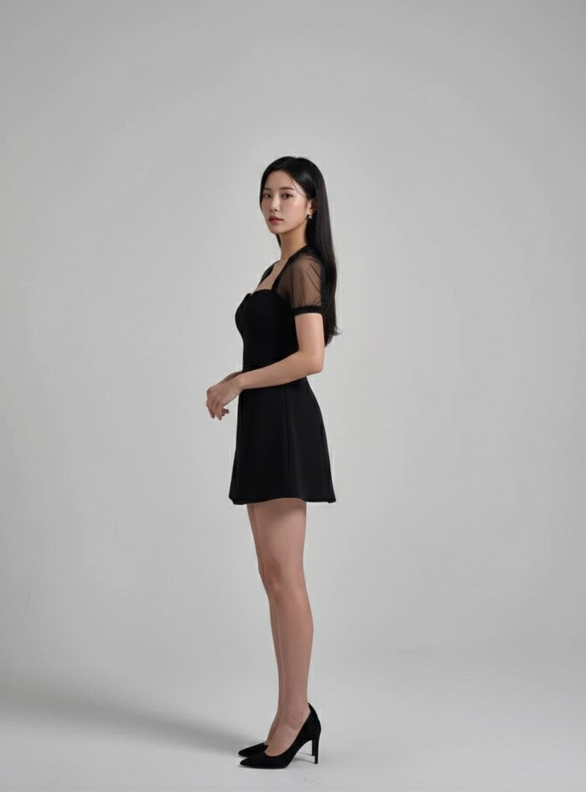 シアーオーガンジー・パフスリーブ フレアドレス